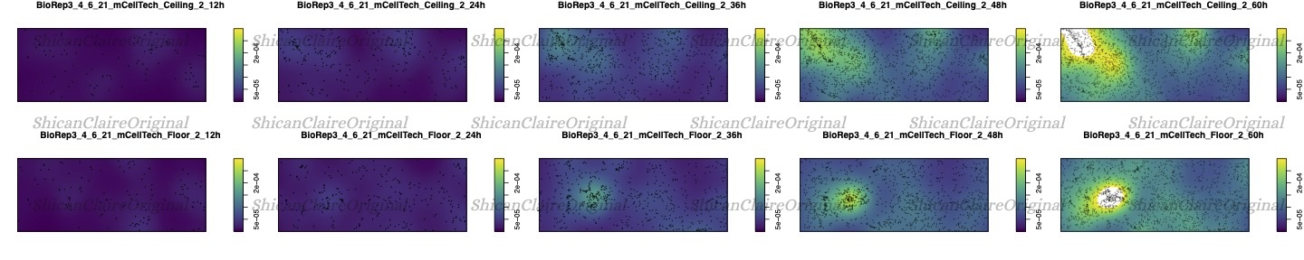 Probability Heatmap